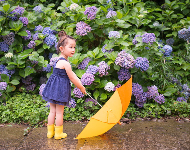 今年の梅雨入り 梅雨明けはいつ じめじめシーズンを快適に過ごせるお風呂活用術 バスリエ株式会社 Corporate Website